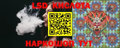 стаф Будённовск