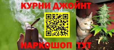 стаф Будённовск