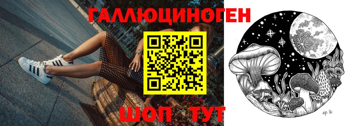 Корсаков  Псилоцибиновые грибы ЛСД  Вход с VPN  Галлюциногенные грибы Magic Shrooms 